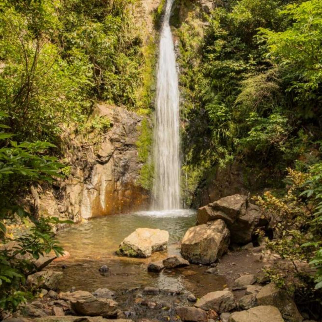 Tranquil waterfall cascading into a natural pool surrounded by lush native bush in Canterbury, New Zealand.